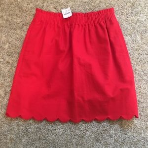 J. Crew skirt